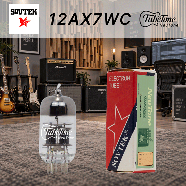 뉴톤 12AX7WC-SOV
