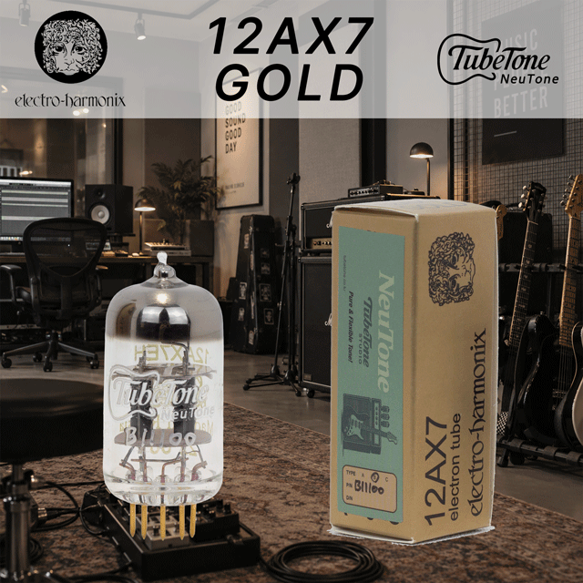 뉴톤 12AX7-EH (GOLD)