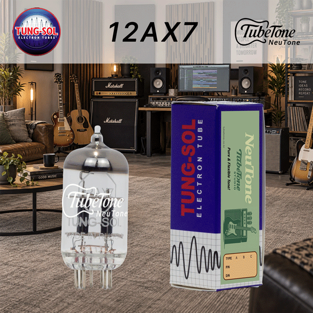뉴톤 12AX7-TS
