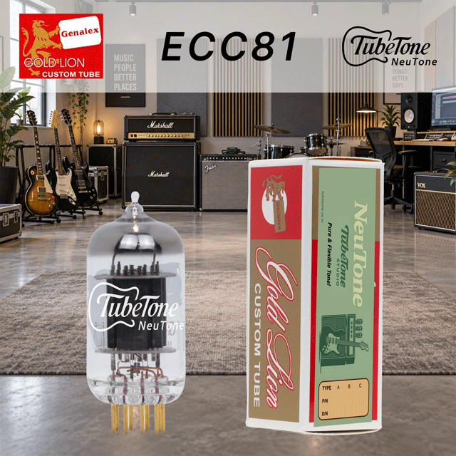 뉴톤 ECC81(12AT7)-GL