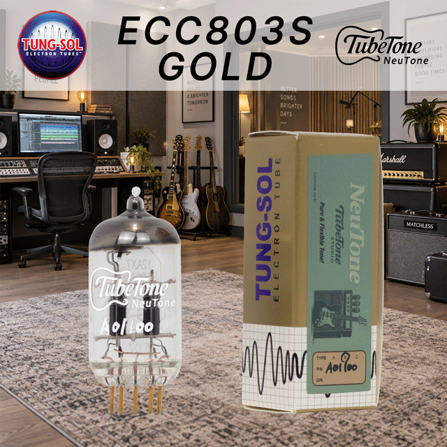 뉴톤 ECC803S GOLD-TS