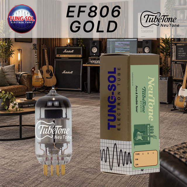 뉴톤 EF806/EF86 GOLD-TS