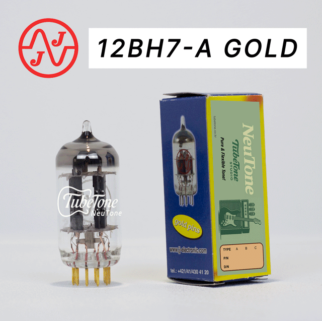 뉴톤 12BH7-A GOLD-JJ