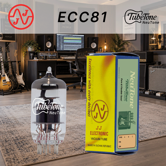 뉴톤 ECC81(12AT7)-JJ