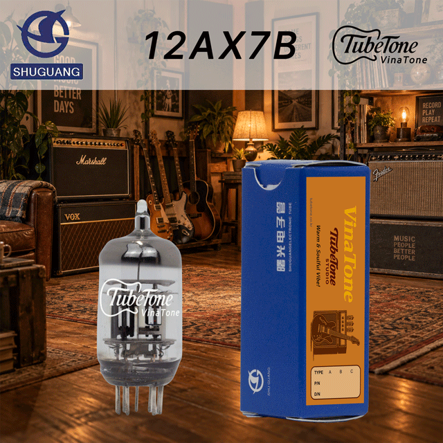 비나톤 12AX7B-SG