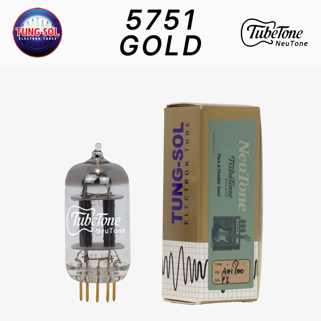 뉴톤 5751 GOLD-TS
