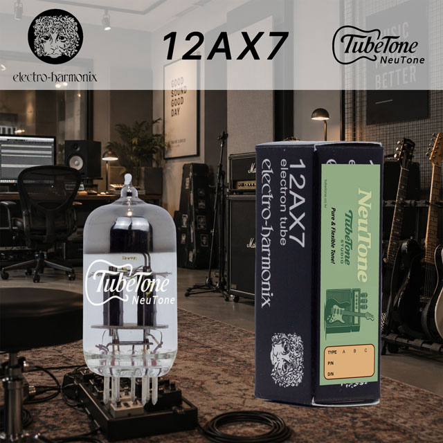 뉴톤 12AX7-EH