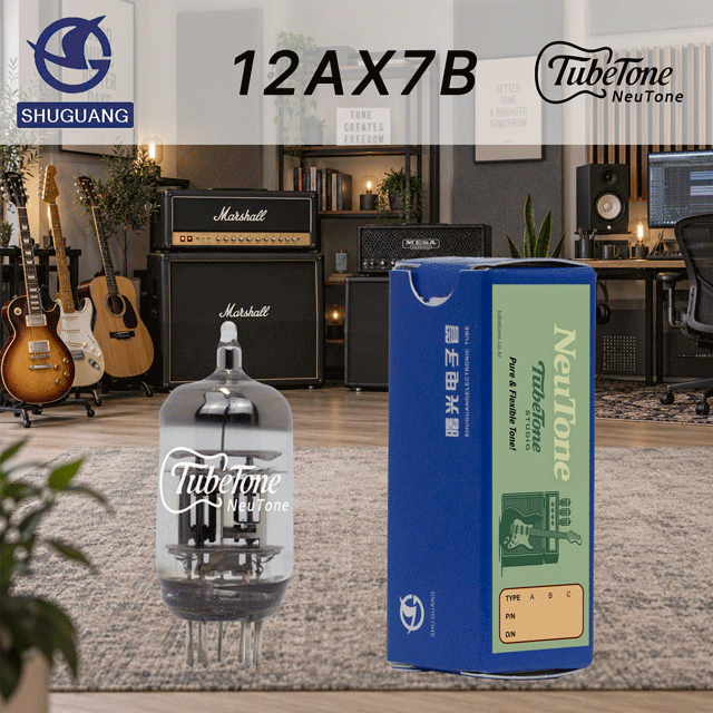 뉴톤 12AX7B-SG